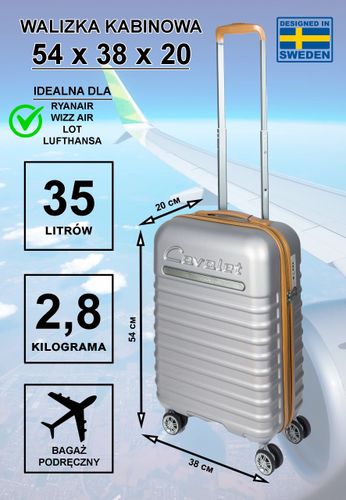 Walizka mała kabinowa Cavalet PASADENA srebrna na Arena.pl