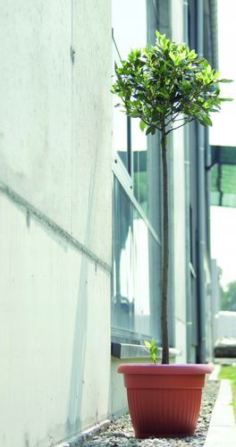 Doniczka klasyczna Terra DCE25 z podstawką | Terakota, Wymiary 25x19.5 cm, Prosperplast na Arena.pl