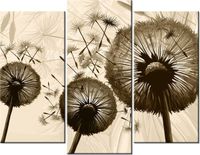 product-compare-58672937