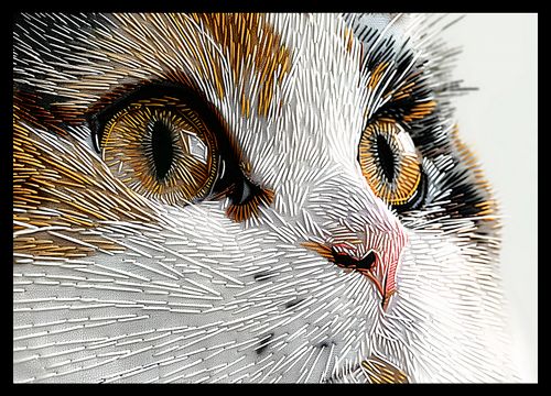 Plakat 42x29,7cm Nitkowany Kot na Arena.pl