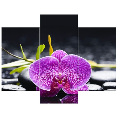 Foto-Obraz 90X70 Orchidea na Arena.pl