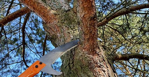 PIŁA DO CIĘCIA GAŁĘZI DREWNA NA WYSIĘGNIKU Z HAKIEM TELESKOPOWA 3M RĘKAWICE na Arena.pl