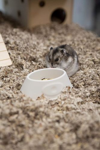 COMFY COTTON BEDDING PODŁOŻE BAWEŁNIANE 10L na Arena.pl