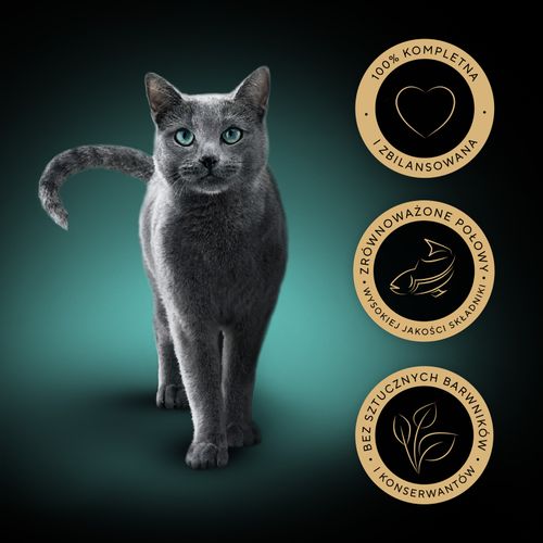 sheba® classics rybne smaki 32x85g na Arena.pl