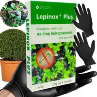 DUŻE OPAKOWANIE LEPINOX PLUS NA ĆMĘ BUKSZPANOWĄ I GĄSIENICE 30G +RĘKAWICZKI