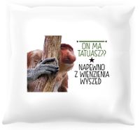 Poduszka z nosaczem -  Na pewno z więzienia uciekł