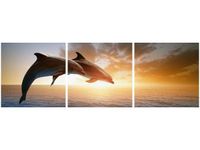 90X30CM DELFINY TRÓJ OBRAZ