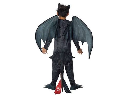 Kostium Szczerbatek na Arena.pl