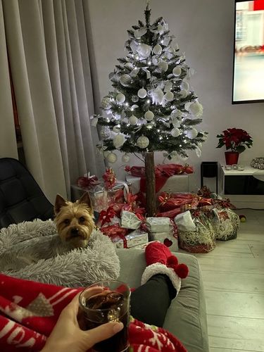 CHOINKA SZTUCZNA 180 CM NA PNIU PIĘKNA SOSNA DIAMENTOWA GĘSTA OŚNIEŻONA na Arena.pl