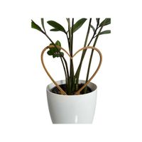 Podpora do roślin w kształcie serca - subtelna i solidna