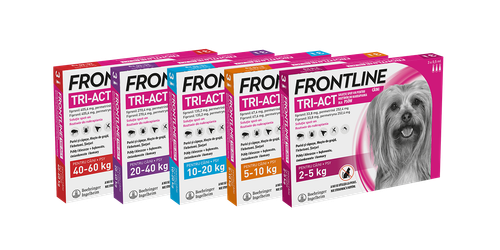 frontline tri-act dla psów 3x6ml na Arena.pl