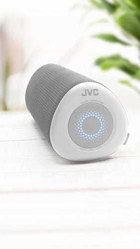 Głośnik Bluetooth JVC XS-E423G Szary na Arena.pl