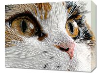 Obraz 50x40cm Nitkowany Kot