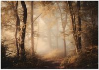 Fototapeta Na Flizelinie Do Sypialni Salonu Las 300x210