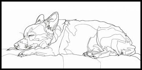 Plakat 91,3x44,5cm Śpiący Psiak na Arena.pl