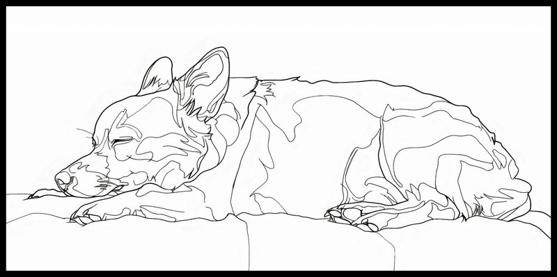 Plakat 91,3x44,5cm Śpiący Psiak zdjęcie 2