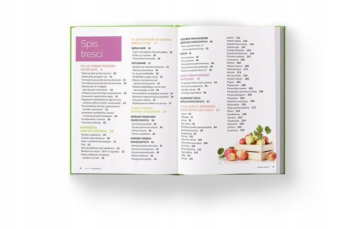 SZKOŁA CIĘCIA 2 Alicja Grabowska Lucyna Grabowska zdjęcie 2