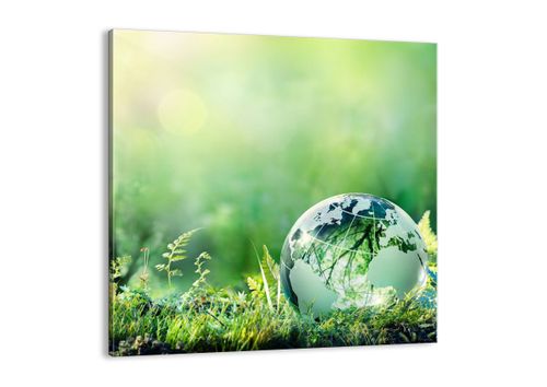 Obraz Na Płótnie - Globus Paproć - 40X40 Cm - Ac40X40-4041 na Arena.pl