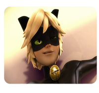 Podkładka pod myszkę Biedronka i Czarny Kot