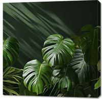 product-compare-59466926