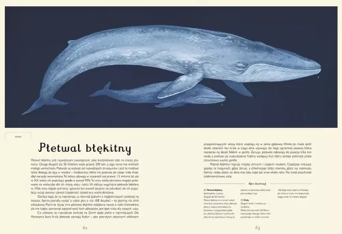 Muzeum Oceanu. Oceanarium na Arena.pl