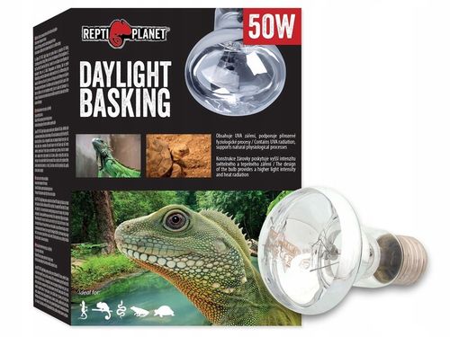 Żarówka grzewcza dzienna Daylight Spot 50W do terrarium Repti Planet na Arena.pl