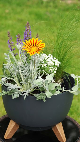 Doniczka, misa ROMA 240 | Kremowy zdjęcie 12