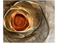 product-compare-58647641