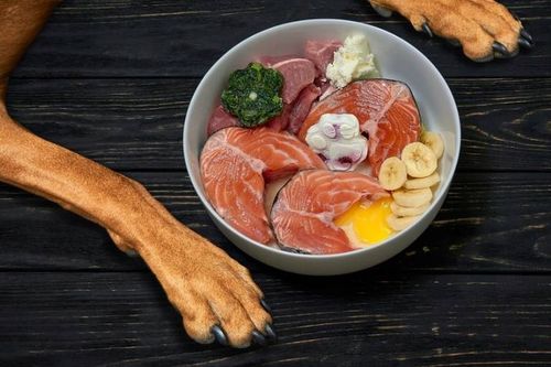 OLEJ NORWESKI Z ŁOSOSIA DLA PSA I KOTA Salmon Oil Omega 3 i 6 MERSJO 1000ml na Arena.pl