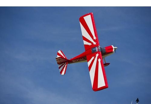 Super Decathlon 100cc ARF na Arena.pl