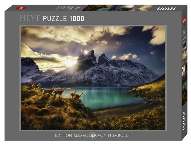 Puzzle 1000 elementów. Guanacos zdjęcie 1