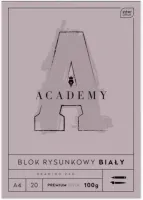 Blok Rysunkowy A4 20 K 100G Academy Interdruk