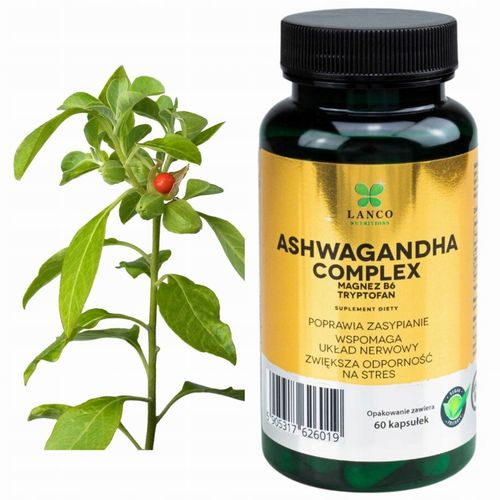 ASHWAGANDHA COMPLEX PREMIUM Max Dawka 573mg + B6 i TRYPTOFAN Lanco 60 kaps. na Arena.pl