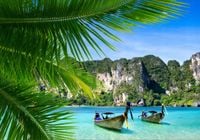 Fototapeta 3D WIDOK PALMY PLAŻA OCEAN 260x200 FLI