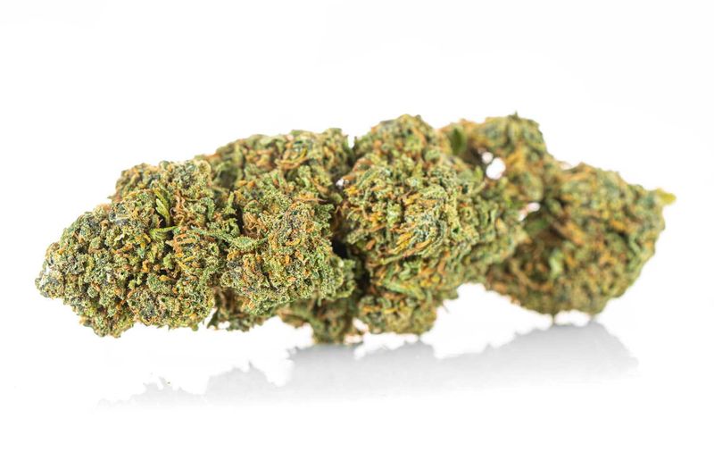 Susz konopny CBD Amnesia Haze GOLD 1 g zdjęcie 7