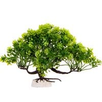 Kruger Meier Plant Zen Bosai - roślinka sztuczna