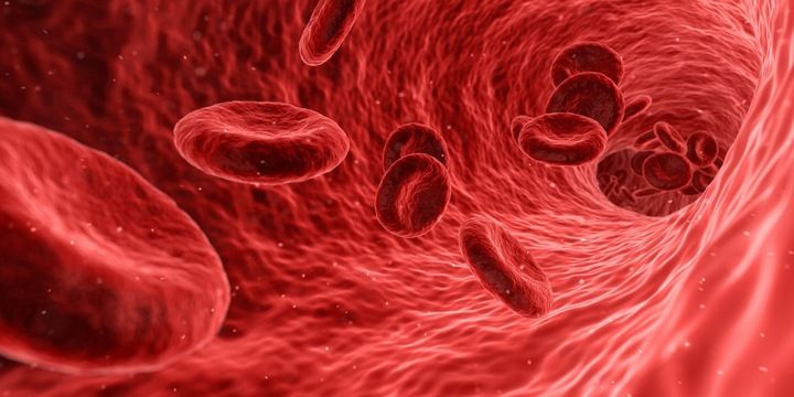 Najmocniejsza KWERCETYNA Cholesterol Forte 45kaps PROTON LABS zdjęcie 4