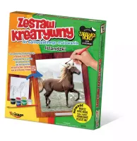 Zestaw kreatywny do malowania. Koń islandzki