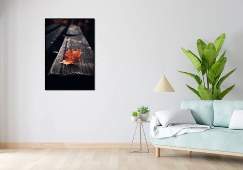 Plakat 68x98cm Pojedynczy Liść na Arena.pl