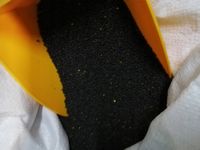 Rzepak dla gołębi, ptaków ziarno