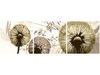 60CM 50CM OBRAZ ŚCIENNY DMUCHAWCE SEPI DRUK PŁÓTNO