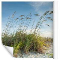 Fototapeta PLAŻA Wydmy Natura do Jadalni 3D 180x120