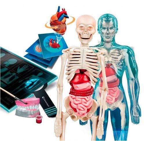 Super Anatomia. Naukowa zabawa na Arena.pl