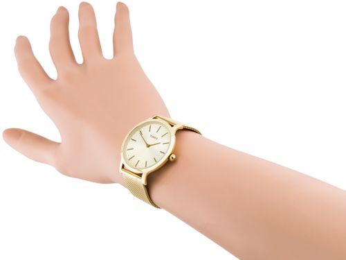 TIMEX TW2R36100 (zt599b) na Arena.pl