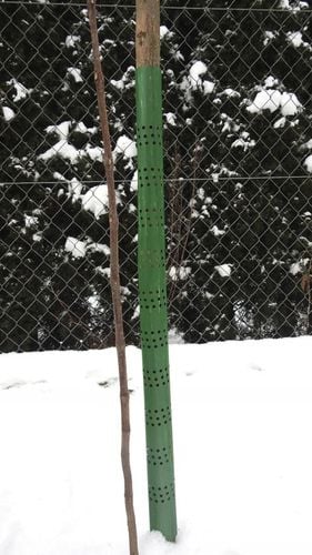 OSŁONKA NA DRZEWKA OPASKA NA PIEŃ 100cm ! 10 szt na Arena.pl