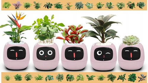 Inteligentna doniczka IVY SMART PLANTER osłonka na donicę PLANTSIO RÓŻOWA na Arena.pl