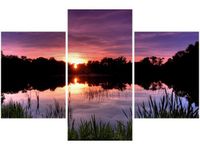 90X60CM OBRAZ ZACHÓD SŁOŃCA WŚRÓD TRZCIN TRZY OBRAZY