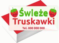 Wizytówki firmowe 100szt WIELE WZORÓW do wyboru ŚWIEŻE TRUSKAWKI