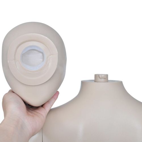 Manekin kobiecy z okrągłą głową na Arena.pl