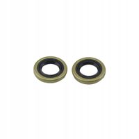 Uszczelniacz wału Husqvarna 40/254/55 2 SZTUKI